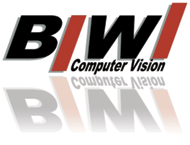 Biwi